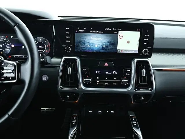 Kia Sorento view 11