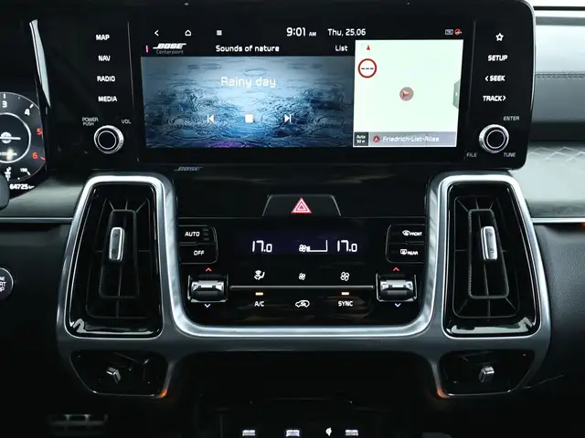 Kia Sorento view 12