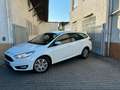 Ford Focus 1.5 Turnier Business*Autom.*Navi*EU6*1.Hd. Wit - thumbnail 8