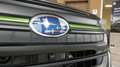 Subaru Forester 2,0ie Edition Exclusive Cross Grau - thumbnail 20