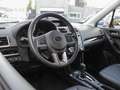 Subaru Forester 2.0 Premium Automaat | Navi | Adap. Cruise | Leder Rood - thumbnail 10