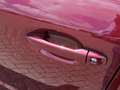 Subaru Forester 2.0 Premium Automaat | Navi | Adap. Cruise | Leder Rood - thumbnail 14