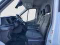 Ford Transit Kasten 2,0 EcoBlue L3H2 350 Trend Navi/Kamera/F... Weiß - thumbnail 9