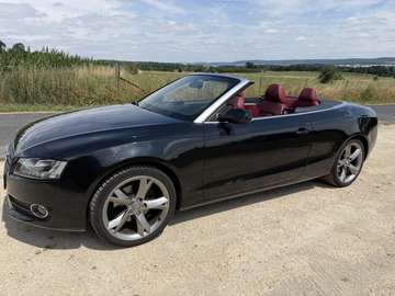 Cabrio 2.0 TDI DPF