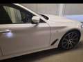 BMW 520 Serie 5 G31 2017  520d Touring xdrive Msport auto Bianco - thumbnail 9