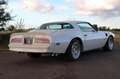 Pontiac Firebird Trans Am 455-HO Coupe 7,5 L|Fahrbereit| Blanco - thumbnail 9