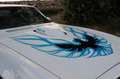 Pontiac Firebird Trans Am 455-HO Coupe 7,5 L|Fahrbereit| Blanco - thumbnail 12