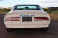 Pontiac Firebird Trans Am 455-HO Coupe 7,5 L|Fahrbereit| Blanco - thumbnail 8
