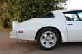 Pontiac Firebird Trans Am 455-HO Coupe 7,5 L|Fahrbereit| Blanco - thumbnail 11