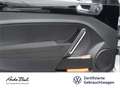 Volkswagen Beetle Cabriolet 1.4 TSI R-Line Navi Xenon EPH Blanc - thumbnail 10