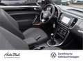 Volkswagen Beetle Cabriolet 1.4 TSI R-Line Navi Xenon EPH Blanc - thumbnail 19