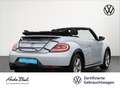 Volkswagen Beetle Cabriolet 1.4 TSI R-Line Navi Xenon EPH Blanc - thumbnail 4