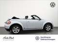 Volkswagen Beetle Cabriolet 1.4 TSI R-Line Navi Xenon EPH Blanc - thumbnail 3