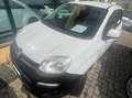 Fiat Panda Panda 1.3 mjt VAN 4x4 2 POSTI AUTOCARRO Bianco - thumbnail 2