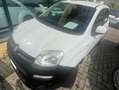 Fiat Panda Panda 1.3 mjt VAN 4x4 2 POSTI AUTOCARRO Bianco - thumbnail 1