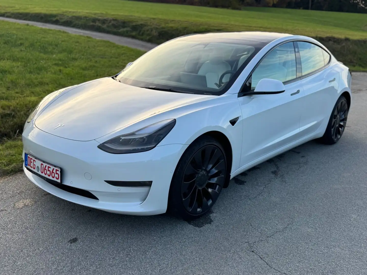 Tesla Model 3 Performance Dual AWD WP LIFT TOP ZUSTAND Weiß - 1