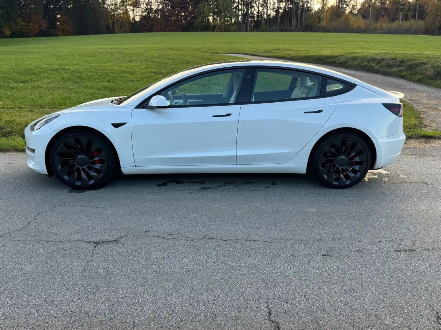 Tesla Model 3 Performance Dual AWD WP LIFT TOP ZUSTAND Weiß - 2