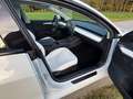 Tesla Model 3 Performance Dual AWD WP LIFT TOP ZUSTAND Weiß - thumbnail 16