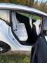Tesla Model 3 Performance Dual AWD WP LIFT TOP ZUSTAND Weiß - thumbnail 14