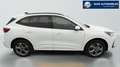 Ford Kuga 2.5 Duratec 243 ch PHEV Powershift ST-Line Blanc - thumbnail 8