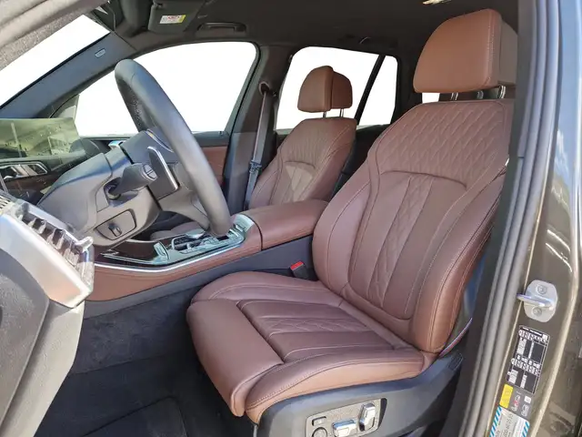 BMW X5 xDrive50e Ansicht 7