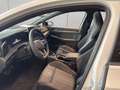Volkswagen Golf VIII R-Line 1.5 eTSI DSG ACC RFK SHZ NAVI PAN Weiß - thumbnail 7
