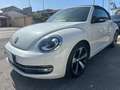 Volkswagen Maggiolino Maggiolino Cabrio 2.0 tdi bm 110cv IMPECCABILE !!! Bianco - thumbnail 1
