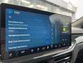Ford Focus ST Line X 1.0 EcoBoost mHEV AHK RFK LED Na Schwarz - thumbnail 22