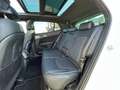 Kia Sportage Sportage 1.6 crdi mhev GT-line Plus dct Bianco - thumbnail 9
