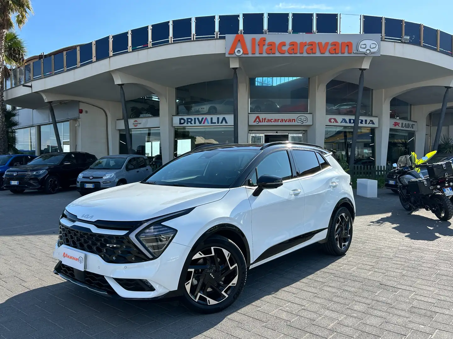 Kia Sportage Sportage 1.6 crdi mhev GT-line Plus dct Bianco - 1