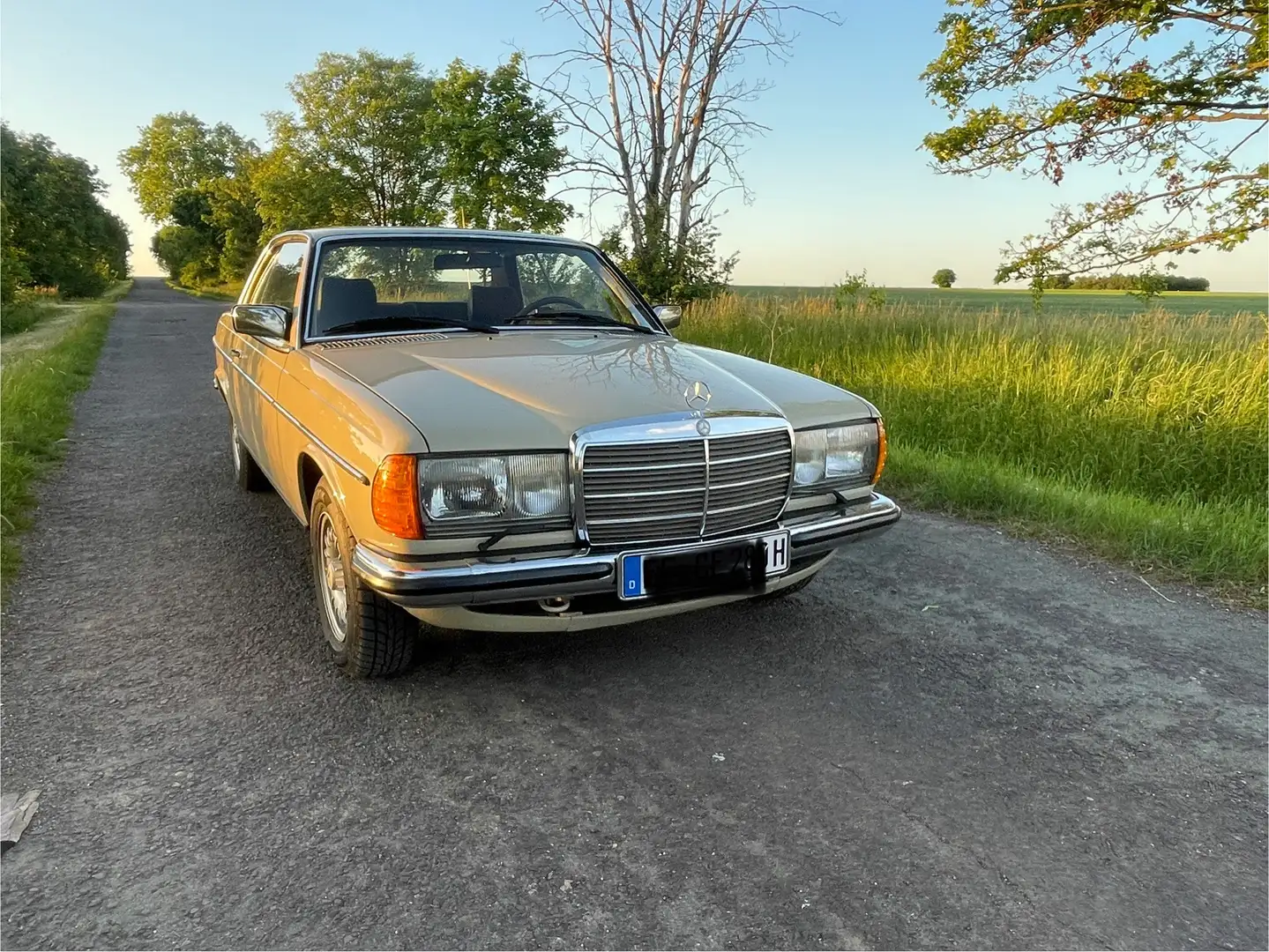 Mercedes-Benz CE 280 W123 - 1
