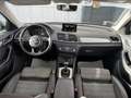 Audi Q3 Q3 2.0 TDI 150 CV Business - thumbnail 8