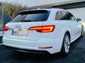 Audi A4 A4 Avant 2,0 TDI quattro Sport S-LINE S-tronic Weiß - thumbnail 3