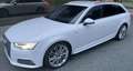 Audi A4 A4 Avant 2,0 TDI quattro Sport S-LINE S-tronic Weiß - thumbnail 10