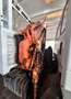 Iveco Sonstige - thumbnail 12