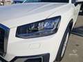 Audi Q2 30 TDI S tronic Business Design Bianco - thumbnail 7