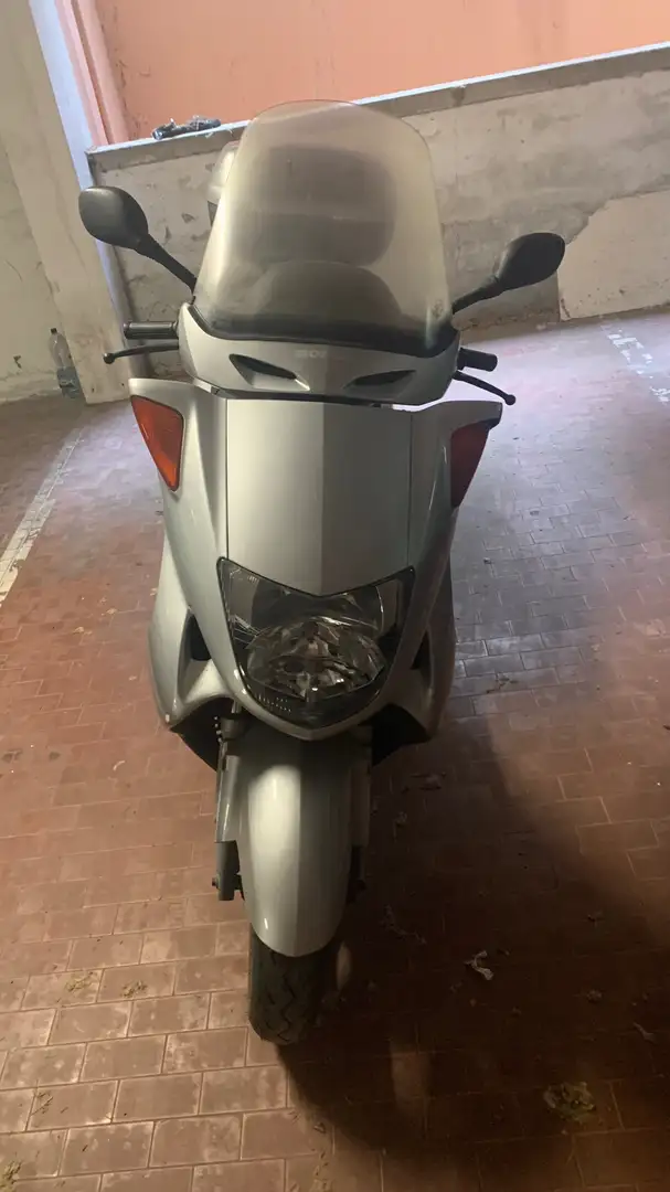 Honda FES 250 Grau - 1