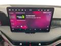Skoda Superb 4x4 Sportline TDI DSG Rot - thumbnail 20