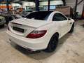 Mercedes-Benz SLK 250 SLK 250 BI-TURBO DIESEL Blanc - thumbnail 14