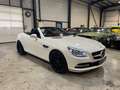 Mercedes-Benz SLK 250 SLK 250 BI-TURBO DIESEL Blanc - thumbnail 5