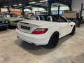 Mercedes-Benz SLK 250 SLK 250 BI-TURBO DIESEL Blanc - thumbnail 13