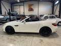Mercedes-Benz SLK 250 SLK 250 BI-TURBO DIESEL Blanc - thumbnail 7