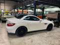 Mercedes-Benz SLK 250 SLK 250 BI-TURBO DIESEL Blanc - thumbnail 16