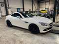 Mercedes-Benz SLK 250 SLK 250 BI-TURBO DIESEL Blanc - thumbnail 6