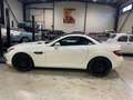 Mercedes-Benz SLK 250 SLK 250 BI-TURBO DIESEL Blanc - thumbnail 8