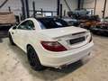 Mercedes-Benz SLK 250 SLK 250 BI-TURBO DIESEL Blanc - thumbnail 10