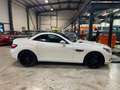 Mercedes-Benz SLK 250 SLK 250 BI-TURBO DIESEL Blanc - thumbnail 18