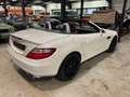 Mercedes-Benz SLK 250 SLK 250 BI-TURBO DIESEL Blanc - thumbnail 15