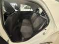 Kia Picanto Picanto 1.0 City  5p UNICO PROPR. IMPECCABILE Bianco - thumbnail 8