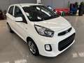 Kia Picanto Picanto 1.0 City  5p UNICO PROPR. IMPECCABILE Blanc - thumbnail 2